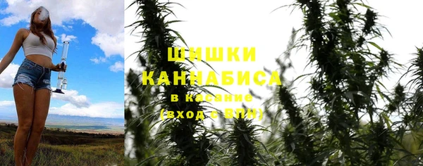 трава Тавда