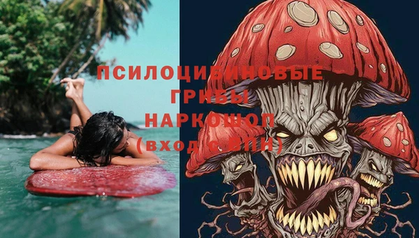 трава Тавда