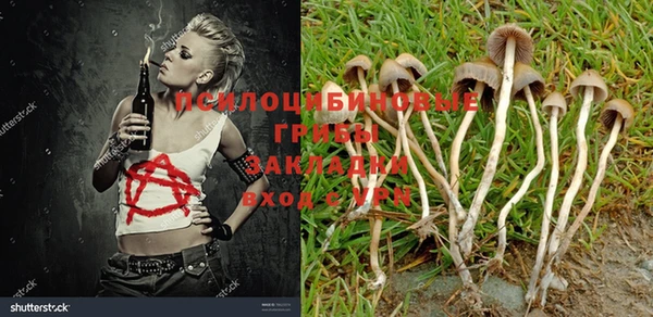 альфа пвп Тайга