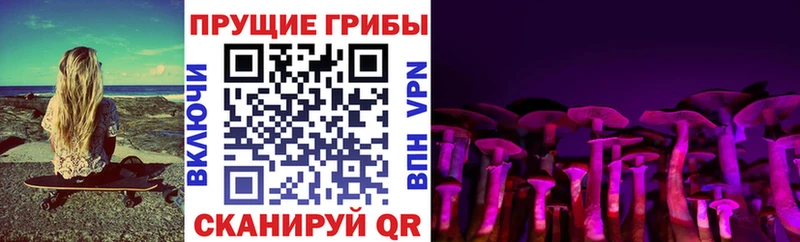 Галлюциногенные грибы ЛСД  Чернушка 