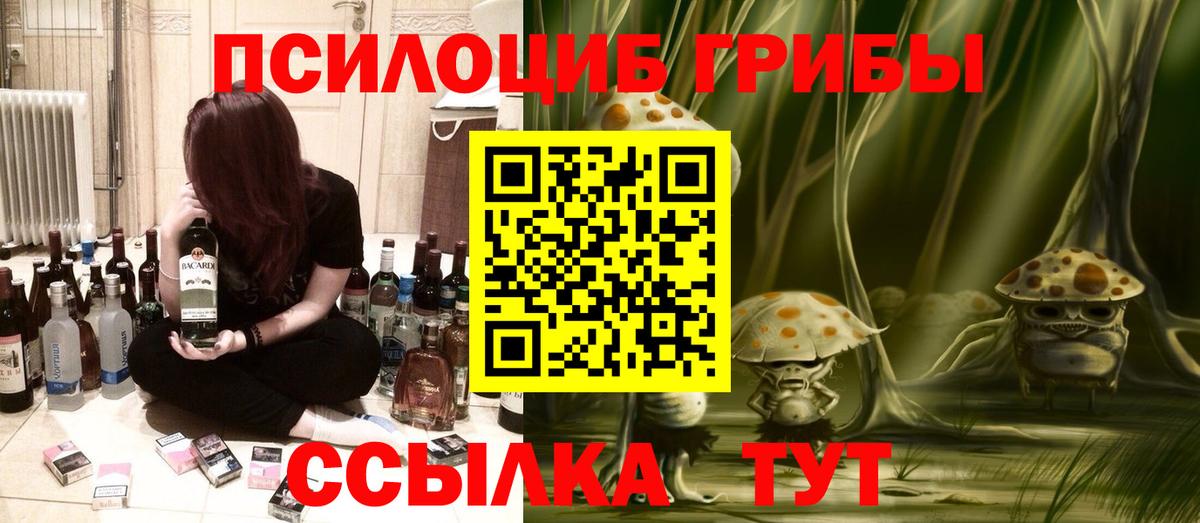 Чернушка  Псилоцибиновые грибы MAGIC MUSHROOMS  Галлюциногенные грибы Magic Shrooms  Вход с VPN 
