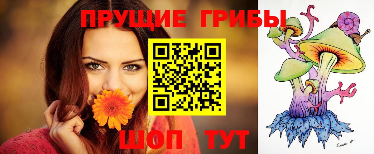 Галлюциногенные грибы Psilocybine cubensis Чернушка